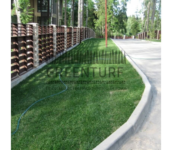 Озеленение коттеджного поселка “La Promenade” - фото - 7