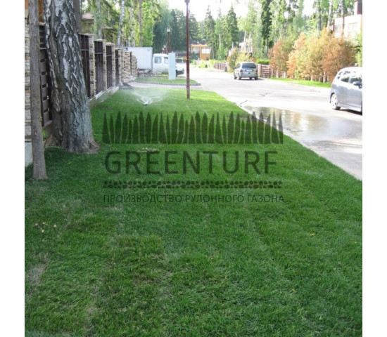 Озеленение коттеджного поселка “La Promenade” - фото - 10